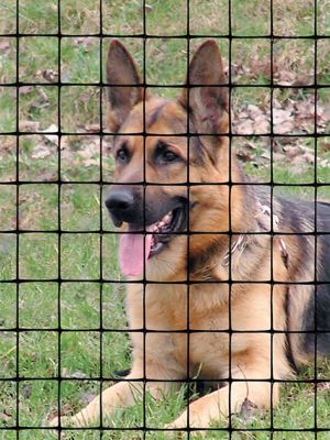 Image showing  100 ft. x 5 ft. Premium Black Pet Fence