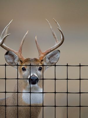 Image showing  100 ft. x 7.5 ft. Deer Fence Premium C-Flex-P