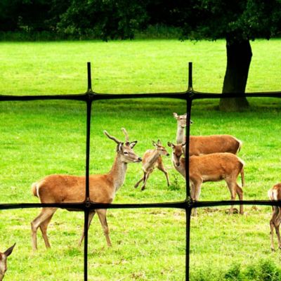 Image showing  330 ft. x 7.5 ft. Deer Fence, Premium C-Flex-P, Black