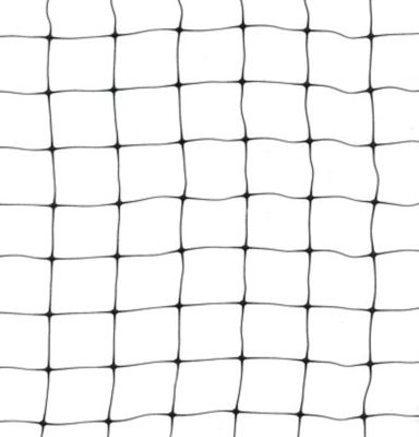 Image showing  820 ft. x 13 ft. Ornex SM Bird Netting, Green
