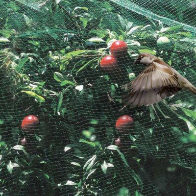 Image showing  1,000 ft. x 14 ft. Ornex LM Bird Netting, Black, 0.79 in. x .79 in. Mesh