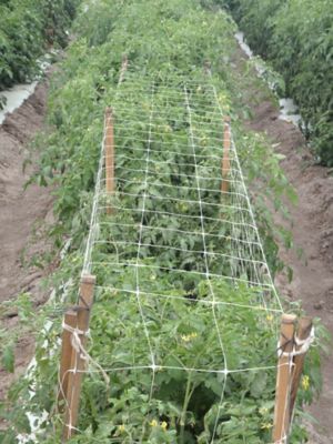 Image showing  328 ft. x 42 in. Hortonova Trellis Netting, White, 5.9 in. x 5.9 in. Mesh