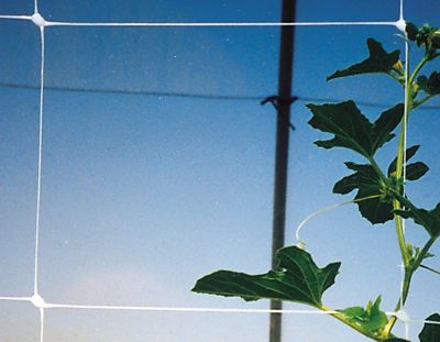 Image showing  3,280 ft. x 4 ft. Hortonova Trellis Netting, White, 5.9 in. x 5.9 in. Mesh
