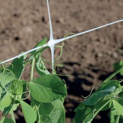 Image showing 5 th Tenax 3,280 ft. x 59 in. Hortonova Trellis Netting, White, 5.9 in. x 6.7 in. Mesh