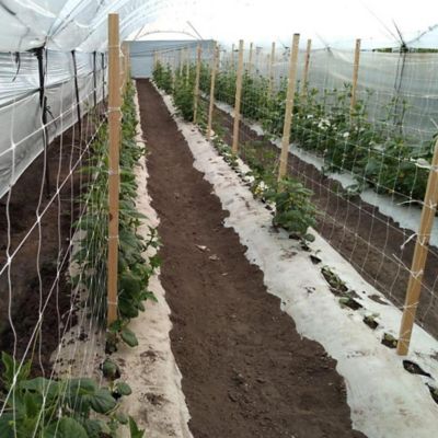 Image showing 6 th Tenax 3,280 ft. x 59 in. Hortonova Trellis Netting, White, 5.9 in. x 6.7 in. Mesh