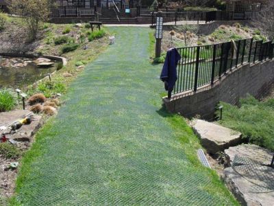 Image showing  100 ft. x 6.7 ft. Turf Reinforcement Netting, Green, 1.4 in. x 1.4 in. Mesh