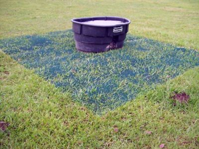 Image showing  6.7 ft. x 50 ft. Keep-It-Green Turf Mat, Green