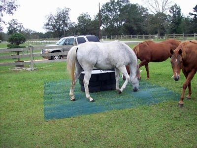 Image showing  6.7 ft. x 50 ft. Keep-It-Green Turf Mat, Green