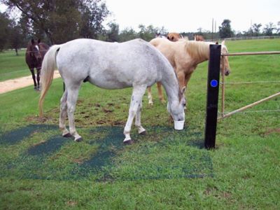 Image showing 6 th Tenax 6.7 ft. x 50 ft. Keep-It-Green Turf Mat, Green