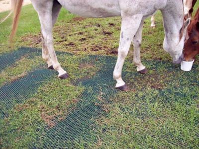 Image showing 7 th Tenax 6.7 ft. x 50 ft. Keep-It-Green Turf Mat, Green