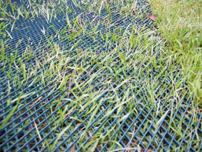 Image showing 8 th Tenax 6.7 ft. x 50 ft. Keep-It-Green Turf Mat, Green