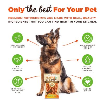 Image showing  6 in. Braided Peanut Butter Flavor Dog Chew Treats, 5.92 oz.