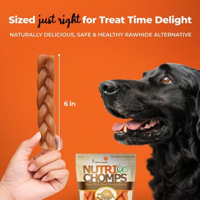 Image showing  6 in. Braided Peanut Butter Flavor Dog Chew Treats, 5.92 oz.