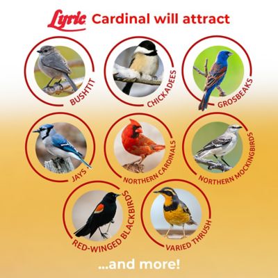 Image showing  Sunflower and Safflower Premium Bird Food Mix for Cardinals, Grosbeaks and Blue Jays, 18 lb.