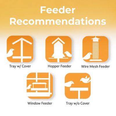 Image showing 5 th Lyric Sunflower and Safflower Premium Bird Food Mix for Cardinals, Grosbeaks and Blue Jays