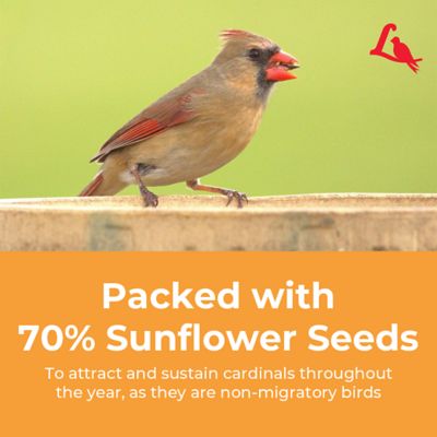 Image showing 7 th Lyric Sunflower and Safflower Premium Bird Food Mix for Cardinals, Grosbeaks and Blue Jays