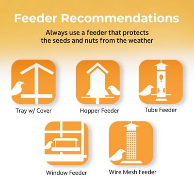 Image showing 5 th Lyric Sunflower and Nut Premium Bird Food Mix for Chickadees, Nuthatches and Titmice