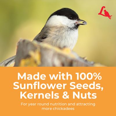 Image showing 7 th Lyric Sunflower and Nut Premium Bird Food Mix for Chickadees, Nuthatches and Titmice