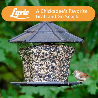 Image showing 8 th Lyric Sunflower and Nut Premium Bird Food Mix for Chickadees, Nuthatches and Titmice
