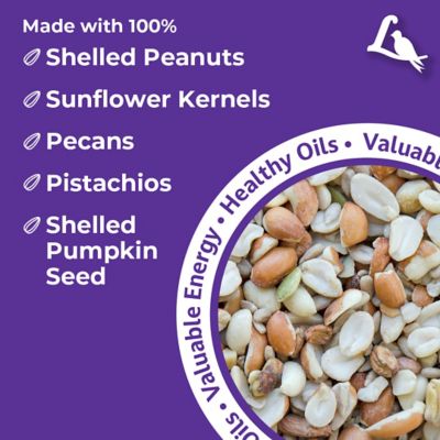 Image showing  Delite No Waste Bird Food Mix with Shell-Free Nuts and Seeds, Attracts Chickadees and Finches, 20 lb.