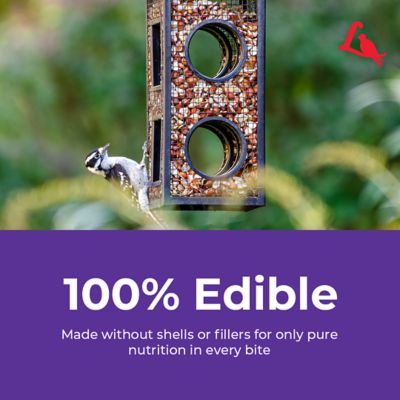 Image showing 7 th Lyric Delite No Waste Bird Food Mix with Shell-Free Nuts and Seeds, Attracts Chickadees and Finches