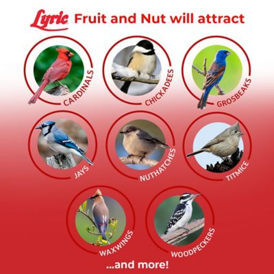 Image showing  Fruit and Nut Wild Bird Seed, High Energy Wild Bird Food, Attracts Woodpeckers and Chickadees, 20 lb.