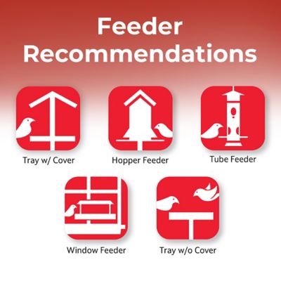 Image showing 5 th Lyric Supreme Wild Bird Seed, Wild Bird Food Mix with Nuts and Sunflower Seeds, Attracts Many Beautiful Songbirds