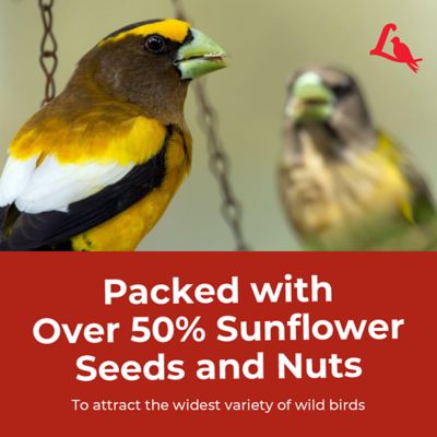 Image showing 7 th Lyric Supreme Wild Bird Seed, Wild Bird Food Mix with Nuts and Sunflower Seeds, Attracts Many Beautiful Songbirds