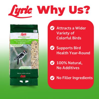 Image showing  Woodpecker No Waste Bird Seed with Nuts, Dried Fruit and Shelled Seeds