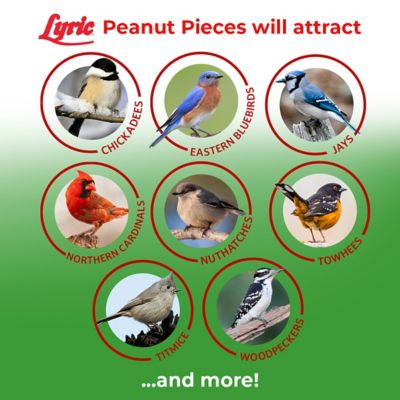 Image showing  Peanut Pieces Wild Bird Seed, No Waste Bird Food, Attracts Titmice, Woodpeckers, Chickadees and More, 15 lb.