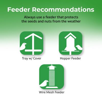 Image showing 5 th Lyric Peanut Pieces Wild Bird Seed, No Waste Bird Food, Attracts Titmice, Woodpeckers, Chickadees and More
