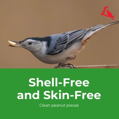 Image showing 7 th Lyric Peanut Pieces Wild Bird Seed, No Waste Bird Food, Attracts Titmice, Woodpeckers, Chickadees and More