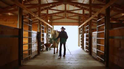 Image showing  Original 10 in. Wood Handle Horse/Large Animal Grooming Tool