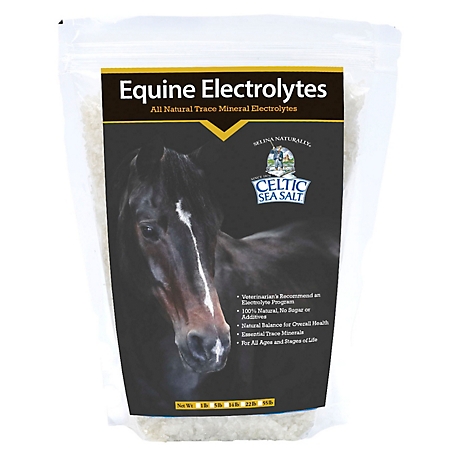 Celtic Sea Salt Selina Naturally Horse Electrolytes, 1 lb. at Tractor  Supply Co.