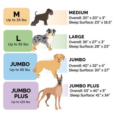 Image showing  Plush and Suede Orthopedic Sofa Dog Bed, 45536089P