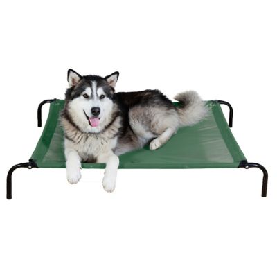 pet cot