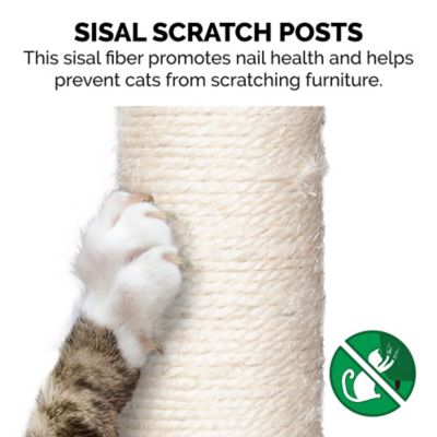 Image showing  49.5 in. Cat Tree Furniture Play Stairs with Cat-IQ Busy Box