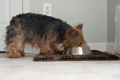 Image showing 7 th FurHaven Small Muddy Paws Towel & Shammy Rug - Mud