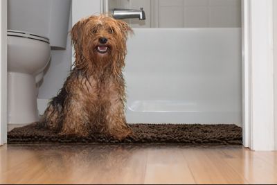 Image showing 6 th FurHaven Medium Muddy Paws Towel & Shammy Rug - Mud