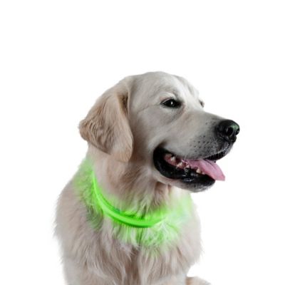 Uregelmæssigheder Vælg forholdsord FurHaven Water-Resistant LED Safety Dog Collar at Tractor Supply Co.