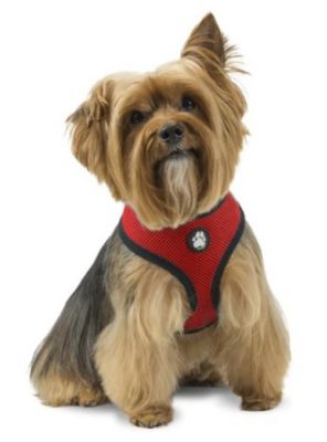 Image showing  Soft and Comfy Mesh Dog Harness, Extra Large