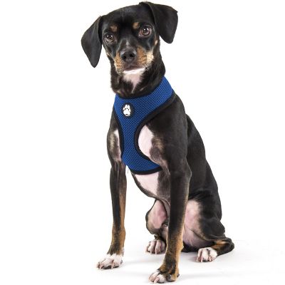 FurHaven Mesh Dog Harness, True Blue