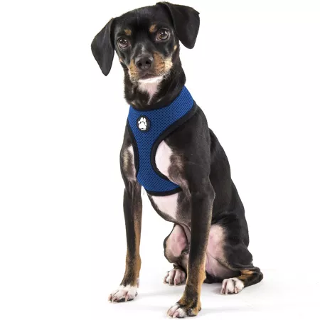 FurHaven Mesh Dog Harness True Blue Dog Basic Harnesses