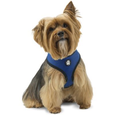 FurHaven Mesh Dog Harness, True Blue