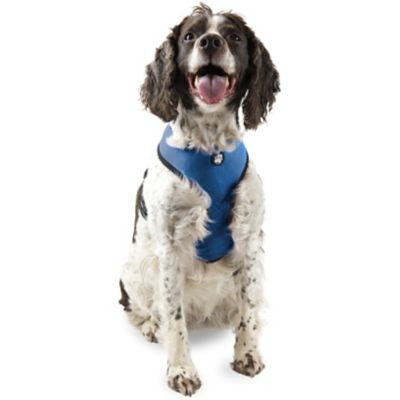 FurHaven Mesh Dog Harness, True Blue