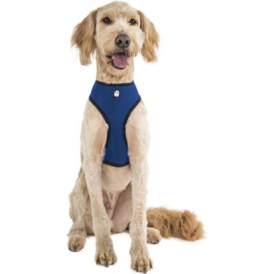 FurHaven Extra Large Mesh Dog Harness, True Blue