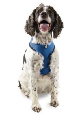 Image showing  Mesh Dog Harness, Extra Large, True Blue