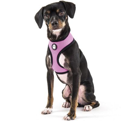 FurHaven Padded Mesh Comfort Dog Harness