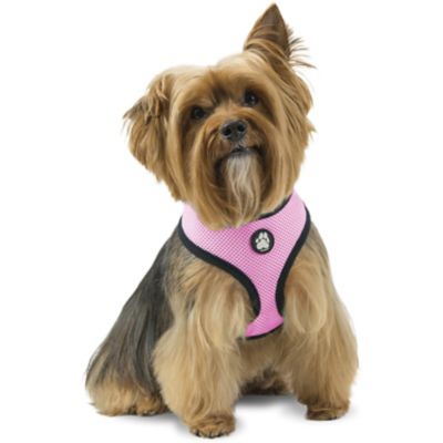 FurHaven Padded Mesh Comfort Dog Harness