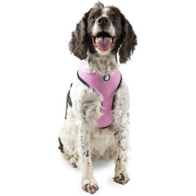 FurHaven Padded Mesh Comfort Dog Harness